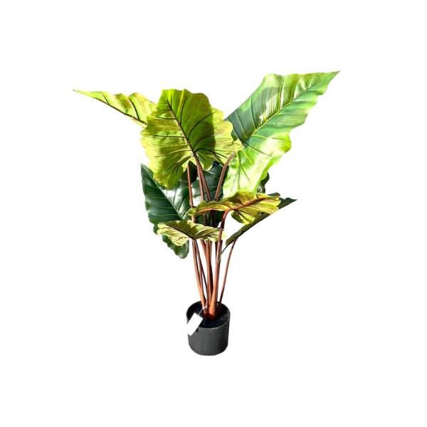 Elephant Ear Potted Plant - 100cm