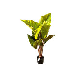 Load image into Gallery viewer, Elephant Ear Potted Plant - 100cm
