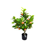 Load image into Gallery viewer, Potted Mandarin Tree - 75cm
