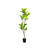 Load image into Gallery viewer, Potted Leaf Plant - 145cm
