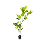 Load image into Gallery viewer, Potted Leaf Plant - 145cm
