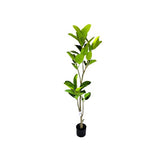 Load image into Gallery viewer, Potted Leaf Plant - 145cm
