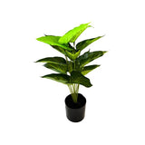 Load image into Gallery viewer, Potted Leaf Plant - 50cm
