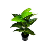Load image into Gallery viewer, Potted Leaf Plant - 50cm
