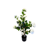 Load image into Gallery viewer, White Potted Rose Plant - 85cm
