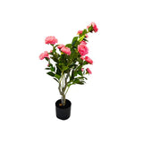 Load image into Gallery viewer, Pink Potted Rose Plant - 85cm
