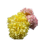 Load image into Gallery viewer, Coloured Galdiodes Flowers
