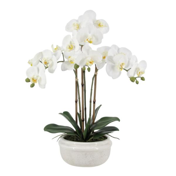 Real Touch Artificial Orchid Pot - 57cm
