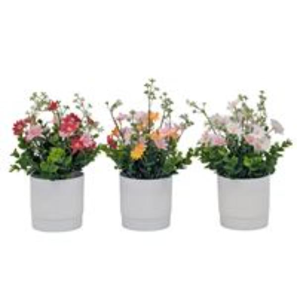 Daisy Flower Pot 25cm - Assorted