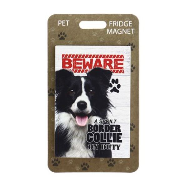 Beware Border Collie Pet Fridge Magnet