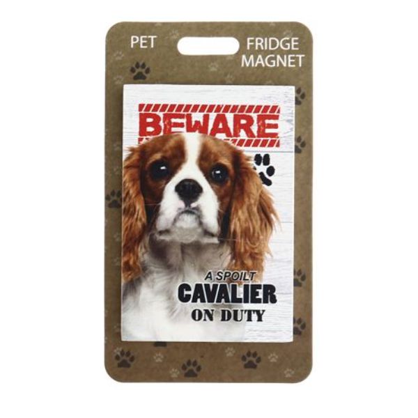 Beware Cavalier Pet Fridge Magnet