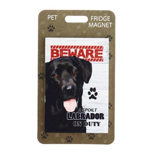 Beware Black Labrador Pet Fridge Magnet