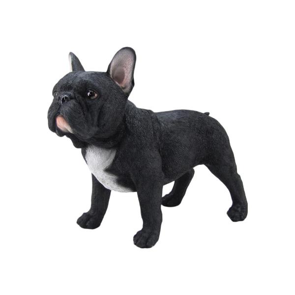 Standing Black French Bulldog - 36cm