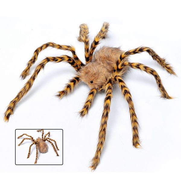 Incy Wincy Spider - X Large