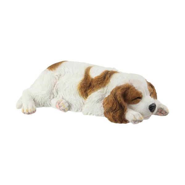 Brown Cute Sleeping Cavalier - 38cm