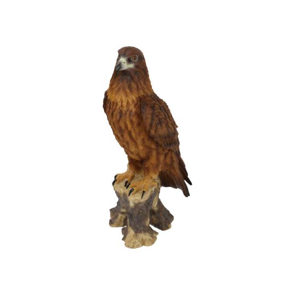 Perched Eagle On Trunk - 41cm