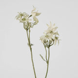 Load image into Gallery viewer, White Flannel Flower Spray - 75cm
