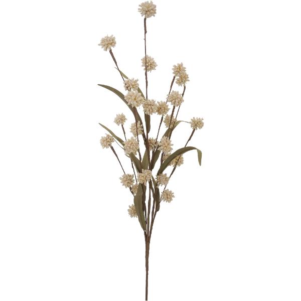 Beige Carinata Flower - 75cm