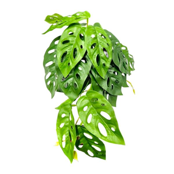Green Potted Leaf