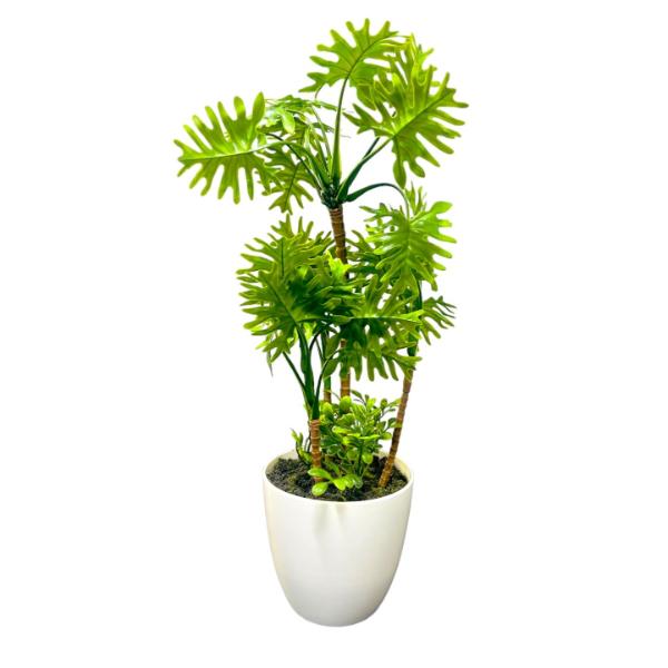 Fern Green Plant - 40cm