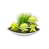 Load image into Gallery viewer, Ceramic Boat Potted Cacti - 40cm

