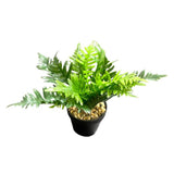 Load image into Gallery viewer, Green Leaf Potted Plant - 20cm

