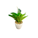 Load image into Gallery viewer, Green Leaf Potted Plant - 25cm
