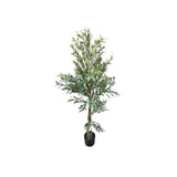 Load image into Gallery viewer, Olive Tree - 170cm
