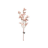 Load image into Gallery viewer, Assorted Genko Branch
