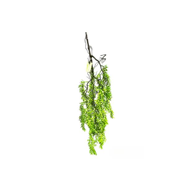 Rosemary Bush Hanging Spray - 90cm