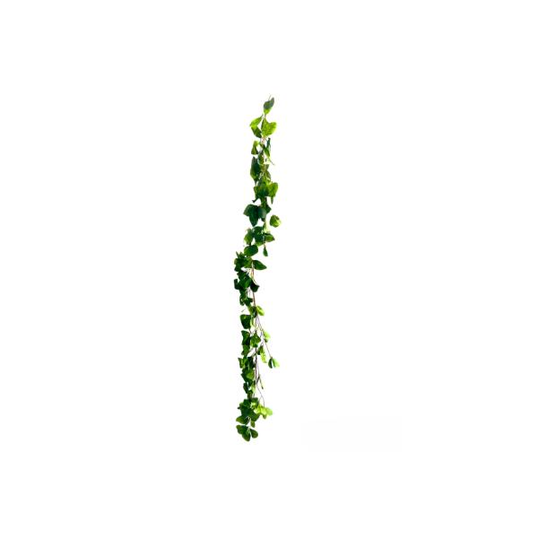 Rose Leaf Garland - 170cm