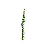 Load image into Gallery viewer, Rose Leaf Garland - 170cm
