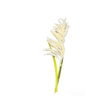 Load image into Gallery viewer, Reed Grass Spray - 130cm
