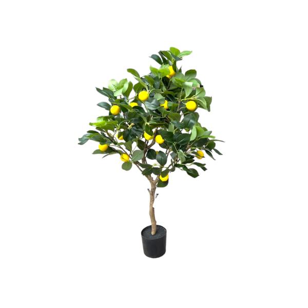 Green Lemon Tree - 90cm