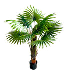 Load image into Gallery viewer, Cycad Fern Potted Plant - 120cm
