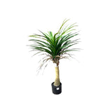 Load image into Gallery viewer, Yucca Potted Plant - 90cm
