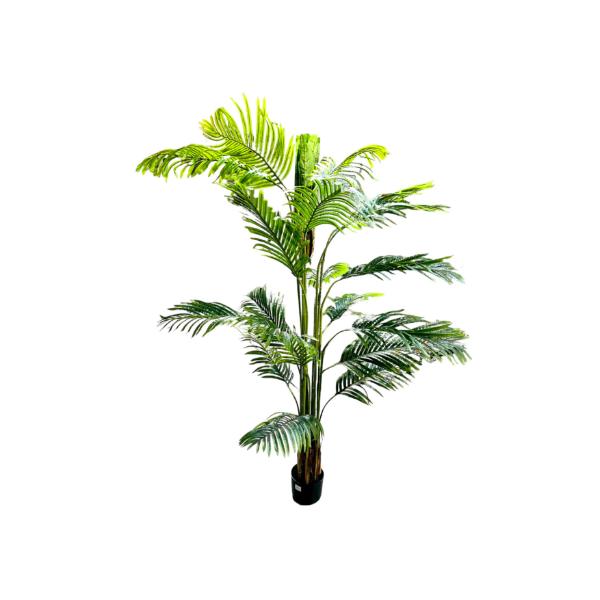 Palm Tree Potted Plant - 200cm
