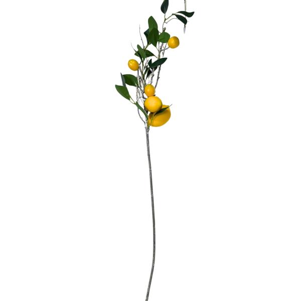Lemon Branch