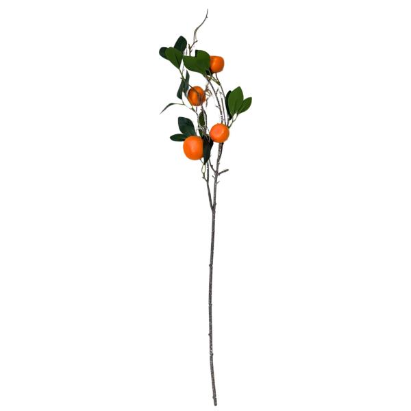 Mandarin Branch