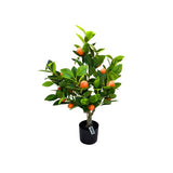 Load image into Gallery viewer, Potted Mandarin Tree - 75cm
