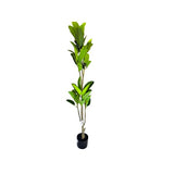 Load image into Gallery viewer, Potted Leaf Plant - 145cm
