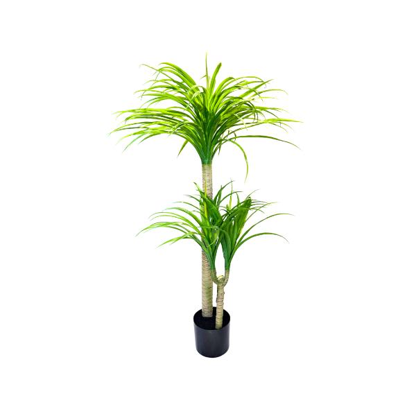Potted Palm Plant - 125cm