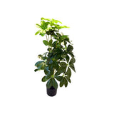 Load image into Gallery viewer, Potted Leaf Plant - 95cm
