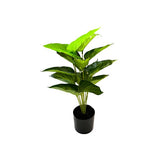 Load image into Gallery viewer, Potted Leaf Plant - 50cm
