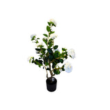 Load image into Gallery viewer, White Potted Rose Plant - 85cm
