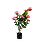 Load image into Gallery viewer, Pink Potted Rose Plant - 85cm
