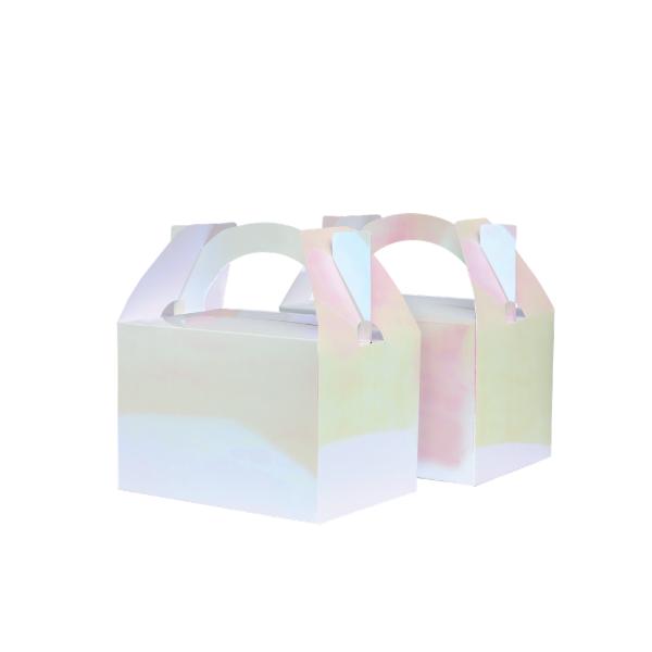 10 Pack Iridescent Little Lunch Box - 12.5cm x 13.5cm x 8.5cm