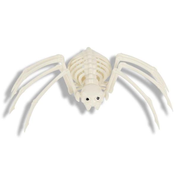 Skeleton Spider - 30cm