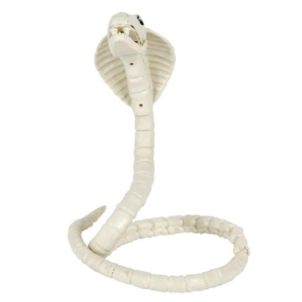 Skeleton Cobra Flexi - 100cm
