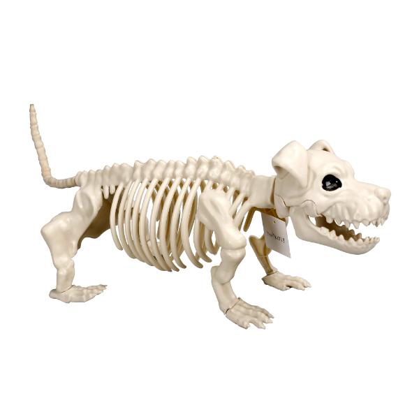 Dog Skeleton - 52cm x 17cm